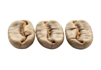 Imagen PNG para descargar